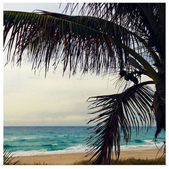 Great BIG Canvas | "Palm and Beach" Art Print - 16x16
