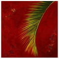 thumbnail image 1 of Great BIG Canvas | "Palmas En Fuego II" Art Print - 20x20, 1 of 4