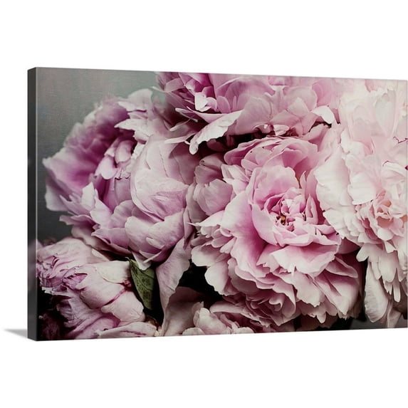 Great BIG Canvas | "Peonies Galore II" Canvas Wall Art - 48x32