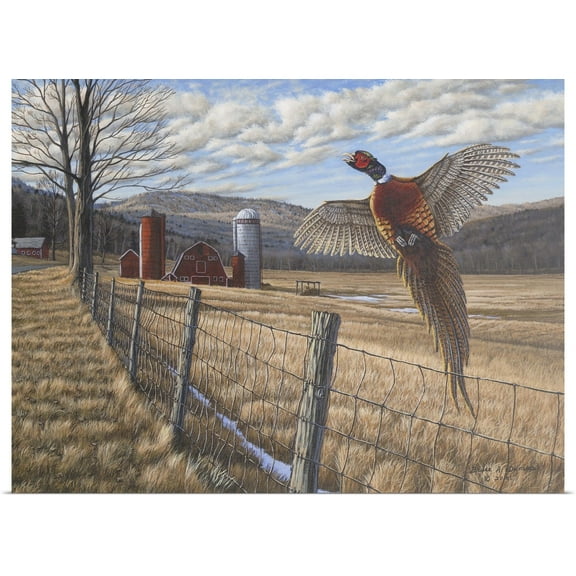 Great BIG Canvas | "Pheasant" Art Print - 24x18