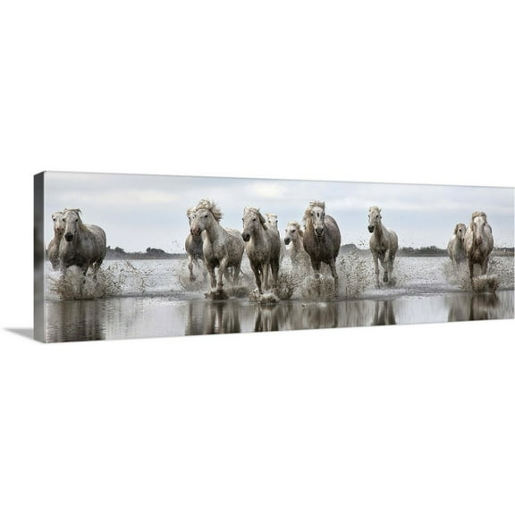 Great BIG Canvas Photography