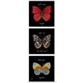 thumbnail image 1 of Great BIG Canvas | "Primary Butterfly Panel I" Art Print - 12x36, 1 of 4
