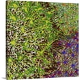 thumbnail image 1 of Great BIG Canvas | "Profusion II" Canvas Wall Art - 20x20, 1 of 2