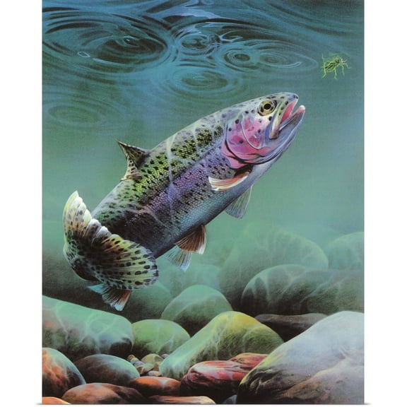 Great BIG Canvas | "Rainbow" Art Print - 16x20