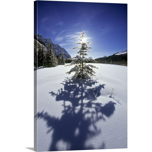 Great BIG Canvas | "Rampart Ponds In Winter, Banff National Park, Alberta, Canada" Canvas Wall Art - 16x24