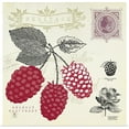 thumbnail image 1 of Great BIG Canvas | "Raspberry Notes" Art Print - 20x20, 1 of 4