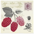 thumbnail image 1 of Great BIG Canvas | "Raspberry Notes" Art Print - 24x24, 1 of 4