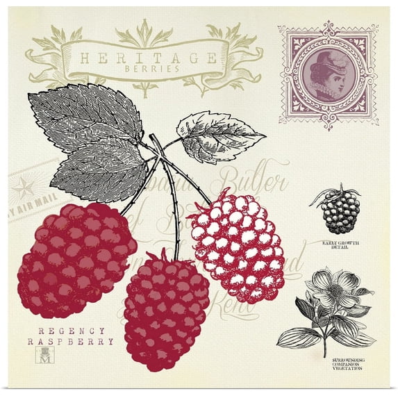 Great BIG Canvas | "Raspberry Notes" Art Print - 24x24