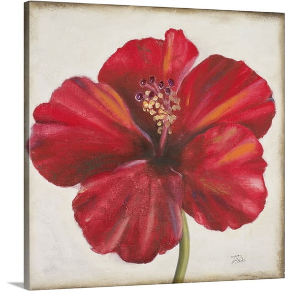 Great BIG Canvas | "Red Hibiscus" Canvas Wall Art - 30x30