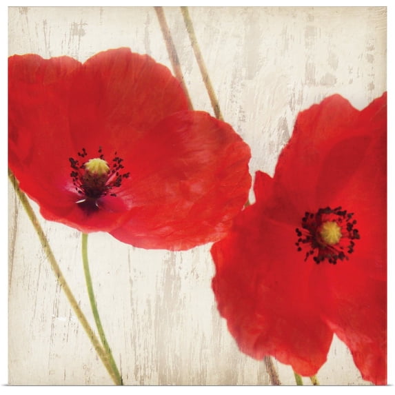 Great BIG Canvas | "Red III" Art Print - 24x24