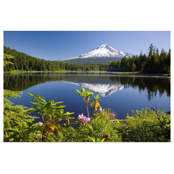 GBC | "Reflection Of Mount Hood In Trillium Lake In The Oregon Cascades; Oregon" Art Print - 36x24