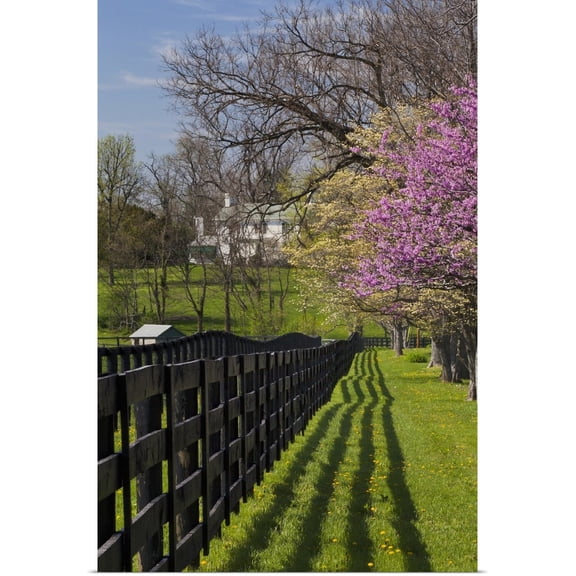 Great BIG Canvas | Rolled Adam Jones Poster Print entitled Fence and dogwood and redbud trees in early spring, Lexington, Kentucky