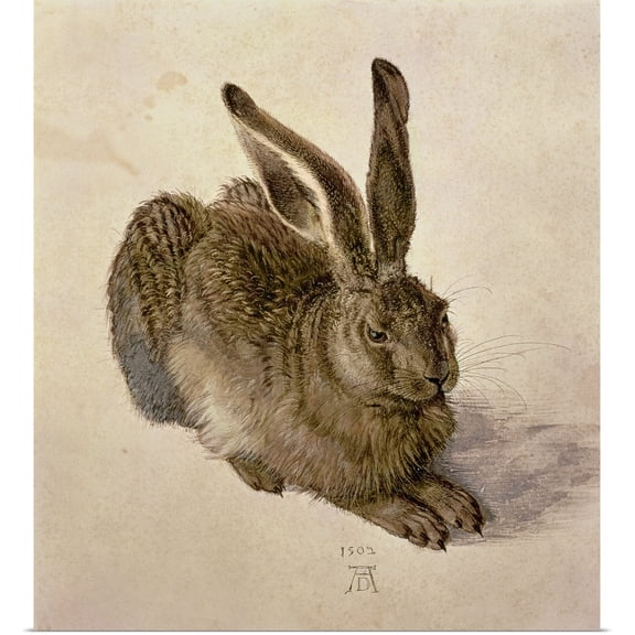 Great BIG Canvas | Rolled Albrecht Durer Poster Print entitled Hare, 1502
