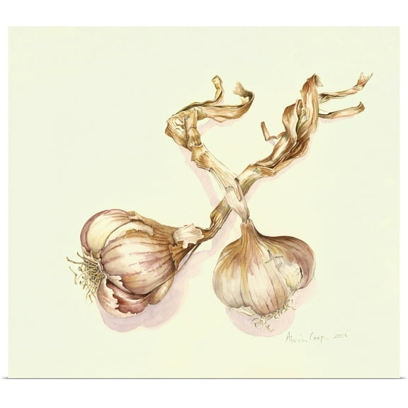 Great BIG Canvas | Rolled Alison Cooper Poster Print entitled Garlic bulbs, 2005