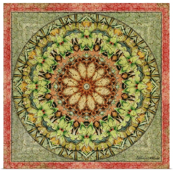 Great BIG Canvas | Rolled Catherine Kohnke Poster Print entitled Floress Mandala III