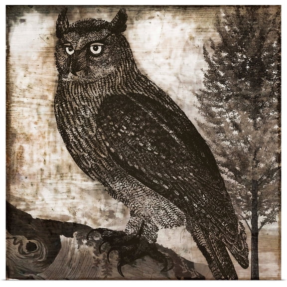 Great BIG Canvas | Rolled Color Bakery Poster Print entitled Owl II