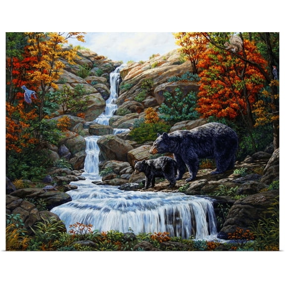 Great BIG Canvas | Rolled Crista Forest Poster Print entitled Black Bear Falls