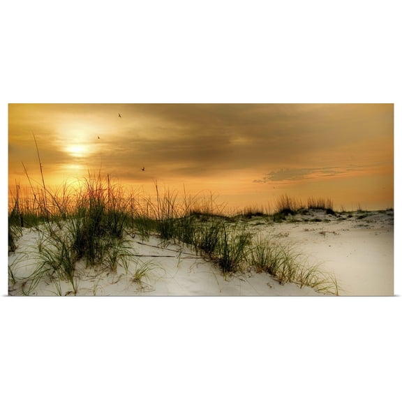 Great BIG Canvas | Rolled Danny Head Poster Print entitled Seagulls at Sunrise