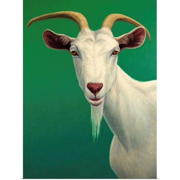 Great BIG Canvas | Rolled James W. Johnson Poster Print entitled Portrait of A Goat