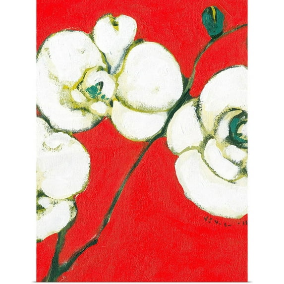 Great BIG Canvas | Rolled Jennifer Lommers Poster Print entitled White Orchid