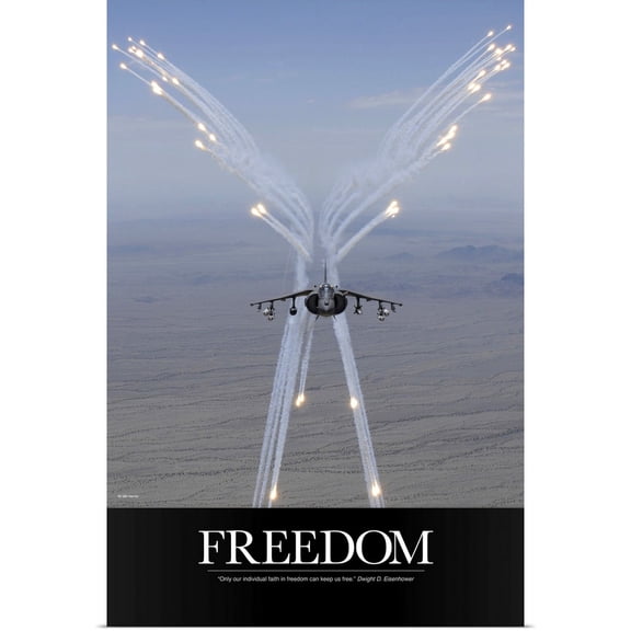Great BIG Canvas | Rolled Kate Lillyson Poster Print entitled Air Force Poster: Freedom Can Keep Us Free