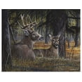 thumbnail image 1 of Great BIG Canvas | Rolled Kevin Daniel Poster Print entitled Autumn Royalty, 1 of 4