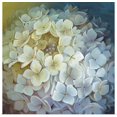 thumbnail image 1 of Great BIG Canvas | Rolled Lisa Audit Poster Print entitled Hydrangea, 1 of 4