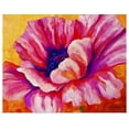 thumbnail image 1 of Great BIG Canvas | Rolled Marion Rose Poster Print entitled Pink Poppy, 1 of 4