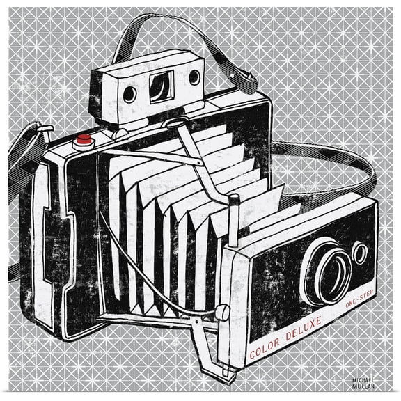 Great BIG Canvas | Rolled Michael Mullan Poster Print entitled Vintage Analog Camera