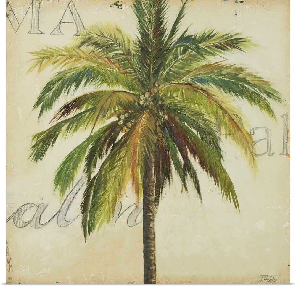 Great BIG Canvas Rolled Patricia Pinto Poster Print entitled La Palma