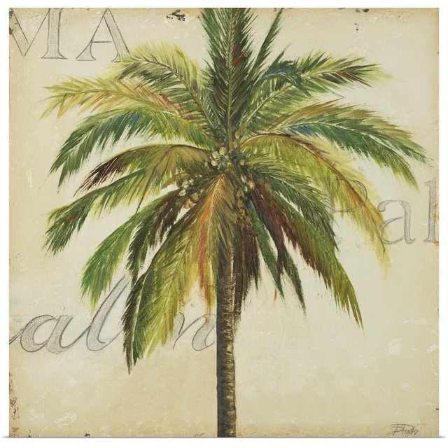 Great BIG Canvas Rolled Patricia Pinto Poster Print entitled La Palma