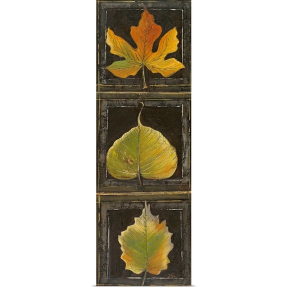 Great BIG Canvas | Rolled Patricia Pinto Poster Print entitled Three Leaves I