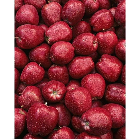 Great BIG Canvas | Rolled Poster Print entitled Agriculture, Red Delicious apples