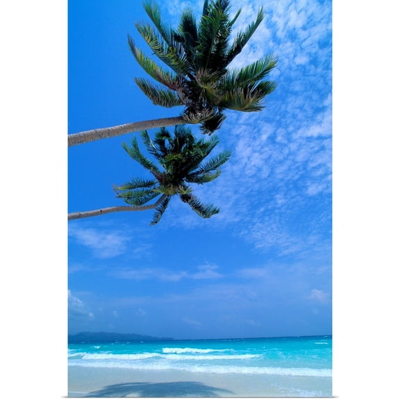 Great BIG Canvas | Rolled Robert Sablan Poster Print entitled Philippines, Boracay Island, White Sand Beach, Clear Waters, Two Palm Trees