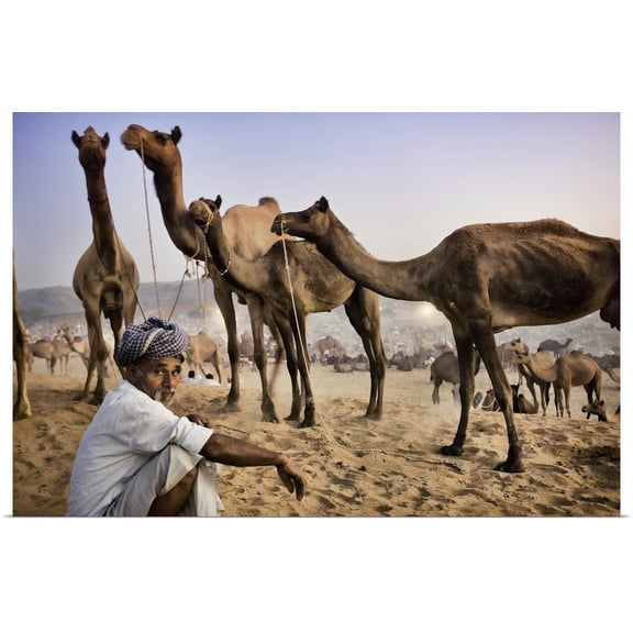Great BIG Canvas | Rolled Scott Stulberg Poster Print entitled Camel trader at the Pushkar camel festival, Pushkar, India