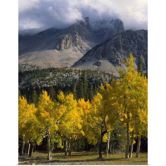 Great BIG Canvas | Rolled Scott T. Smith Poster Print entitled Nevada, Great Basin National Park