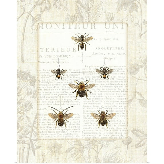 Great BIG Canvas | Rolled Sue Schlabach Poster Print entitled Bee Botanical
