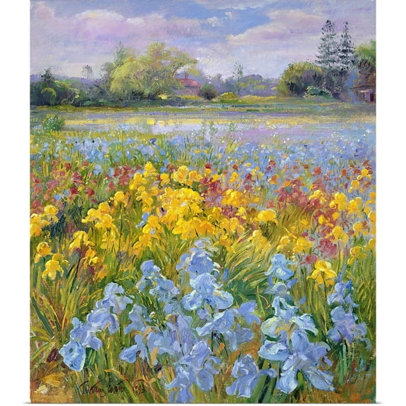 Great BIG Canvas | Rolled Timothy Easton Poster Print entitled Irises, Willow and Fir Tree, 1993