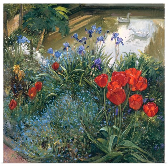 Great BIG Canvas | Rolled Timothy Easton Poster Print entitled Red Tulips and Geese