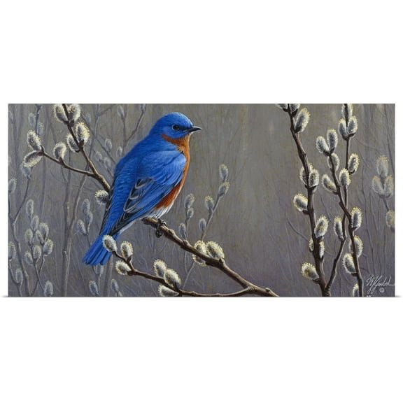 Great BIG Canvas | Rolled Wilhelm Goebel Poster Print entitled Signals Of Spring - Eastern Bluebird