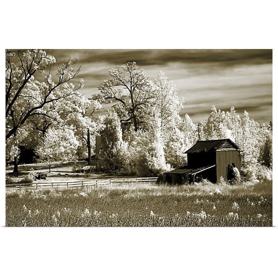 Great BIG Canvas | "Route 96" Art Print - 36x24