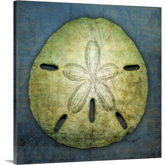 Great BIG Canvas | "Sand Dollar" Canvas Wall Art - 20x20