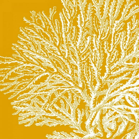 Great BIG Canvas | "Saturated Coral I" - 16x16