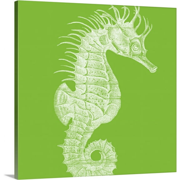 Great BIG Canvas | "Saturated Sea Life II" Canvas Wall Art - 16x16