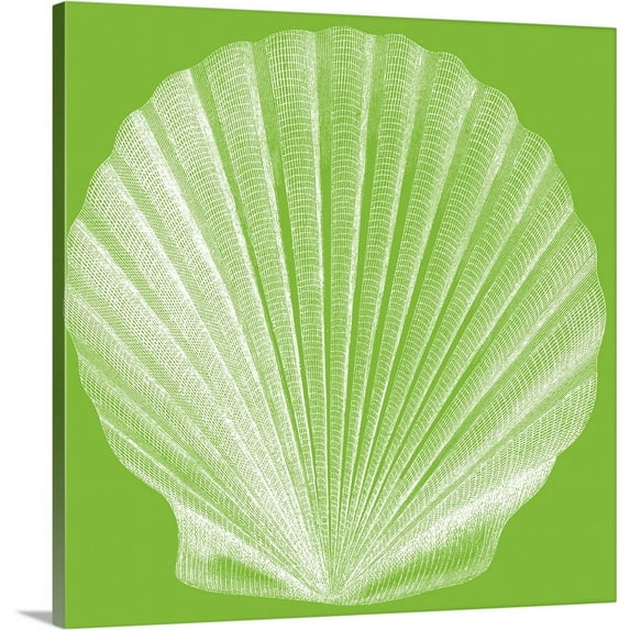 Great BIG Canvas | "Saturated Shells II" Canvas Wall Art - 20x20