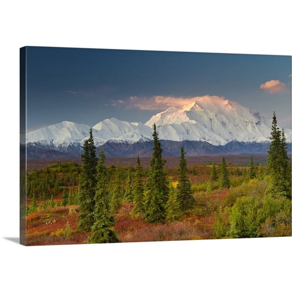 Great BIG Canvas | "Scenic view of Mt. McKinley at sunrise with colorful tundra and boreal forest" Canvas Wall Art - 48x32