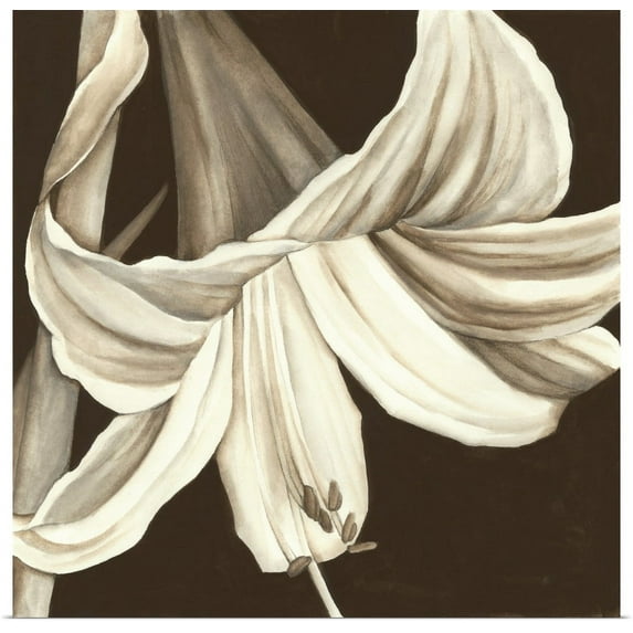 Great BIG Canvas | "Sepia Lily III" Art Print - 16x16
