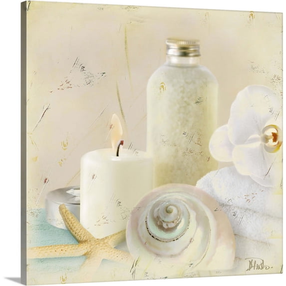 Great BIG Canvas | "Silver Bath I" Canvas Wall Art - 30x30