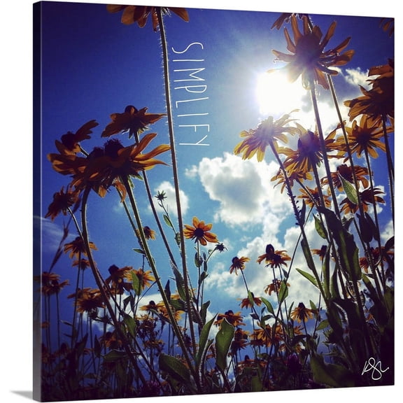 Great BIG Canvas | "Simplify" Canvas Wall Art - 16x16