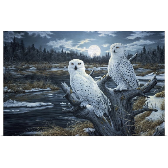 GBC | "Snowy Owls" Art Print - 24x16